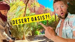 We Found a Hidden Oasis Deep in Morocco&rsquo;s Desert