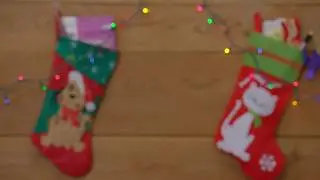 Dog Stocking Stuffers - PetStuff.com
