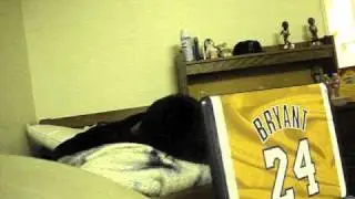 Farting on Tico