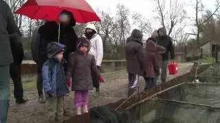 Fete du Poisson &agrave; Lachauss&eacute;e en Meuse