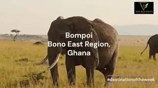 DESTINATION OF THE WEEK : DIGYA NATIONAL PARK