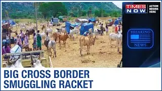 Illegal Cattle Trade: Kingpin Inamul Haque arrested, CBI suspects big hawala network