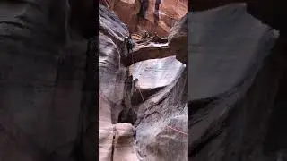 Canyoneering with desert Adventure  Pine Creek Canyon, Zion National Park  #Mileth #9 rappel
