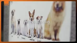 SYNC REEL 2023