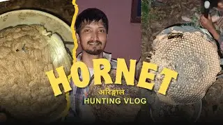 अरिङ्गालको शिकार | Hornet | Aringal Hunting | Hornet Hunting Style In Rural Nepal