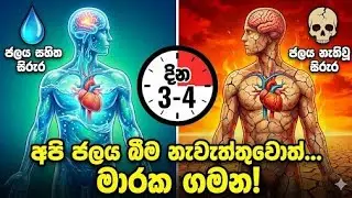 ජලය බීම සම්පූර්ණයෙන්ම නැවැත්තුවොත් මොකද වෙන්නේ? | What If You Stopped Drinking Water?