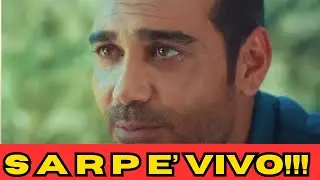 La forza di una Donna: Sarp è risorto! Il suo ritorno sconvolge tutti… e ora vuole Bahar indietro!