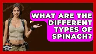 What Are The Different Types Of Spinach? - Survival Skills for Everyone
