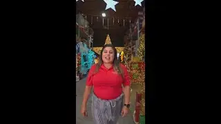 Holiday Display Installation Near Me