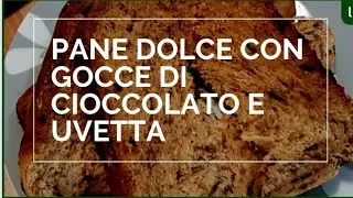 PANE DOLCE GOCCE DI CIOCCOLATO E UVETTA CON LA MACCHINA DEL PANE MOULINEX PAIN DORÈ | LORY
