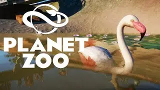 ФЛАМИНГО #13 PLANET ZOO ПРОХОЖДЕНИЕ