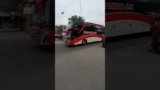 bus STJ mania 035 ll sudiro tungga jaya #bismania #busmania #bus #sudirotunggajaya #stj
