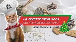 La recette Snob Good des friandises pour chats 😽