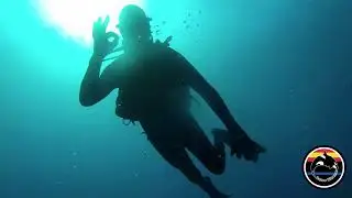 Almu&ntilde;&eacute;car 4K🐬Inmersiones y buen rollo😃👌17/09/2023