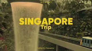 SINGAPORE 🇸🇬 #travelvlog #fyp #travelasia 