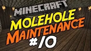 Molehole Maintenance #10 - Stable Tunnel!