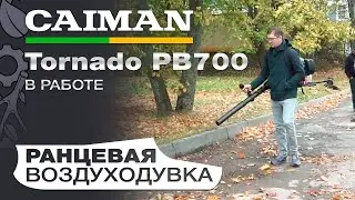 Воздуходувка бензиновая ранцевая Caiman Tornado PB700 в работе