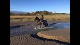 Beach Ride 3 December 2014