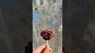 A bite of deliciousness 😋#shorts #short #youtube #viralvideo #viral #shortvideo #youtubeshorts