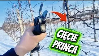 Klikać czy nie klikać? Moje doświadczenie! 