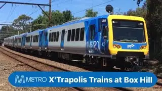 Metro X'Trapolis Trains at Box Hill