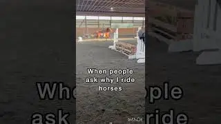 Idk why we&rsquo;re stereotyped as weird I&rsquo;ve had normal conversations before#horse #shorts #fypシ゚viral