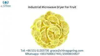 Most popular microwave vacuum dryer machine#microwave vacuum dryer#machine #vacuum dryer