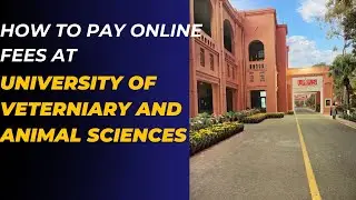 How to pay Online Fees in University of Veterinary and Animal Sciences | UVAS Admission 2023 #UVAS