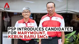 GE2025: PSP introduces candidates, including Hazel Poa's husband, for Marymount and Kebun Baru SMCs