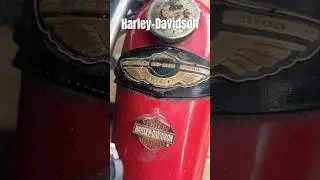 Retro Harley-Davidson  Dubai 🇦🇪 #retro #harleydavidson #harleygarage #harley  #travel