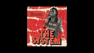 The Public Opinion Afro Orchestra - The System