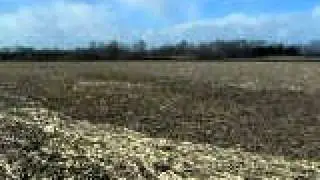 Copy of PICT1566