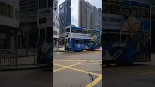 Trams running through the streets of the city #香港電車 #叮叮 #dingding #hongkongtram #doubledecker #市電