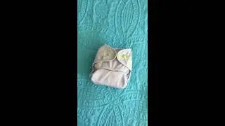 LuluDew Convertible Cloth Diaper Review