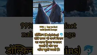 आधा सोया, आधा जागा दिमाग! डॉल्फ़िन ऐसे क्यों सोती हैं? (Dolphins Sleep with Half a Brain!)😱