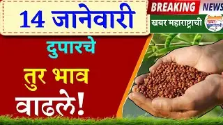 तूर बाजार भाव वाढले 14 जानेवारी 2026 / Tur bhazar bhav today / महाराष्ट्रा तूर भाव असे...तेजी येणार