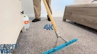 Carpet Cleaning ASMR | 