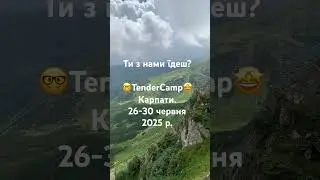 🤩Ти з нами в TenderCamp у Карпатах? #публічні_закупівлі #public_procurement #tenderactivepeople