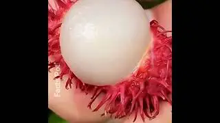 The Wild World of DNA-Enhanced Fruits.biotech farming