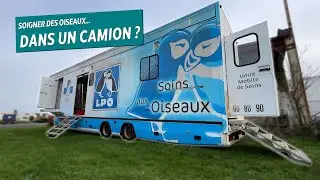 Visitez le camion-hôpital de la LPO ! - ALBG #17