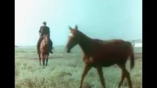 Казачьи народные песни и танцы 1982