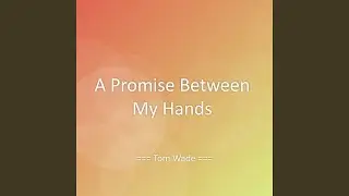 A Promise Between My Hands