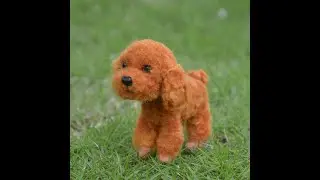 Teddy - Animal World Series Felting Kit