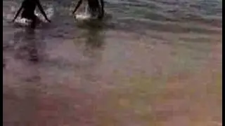 WATERVREES