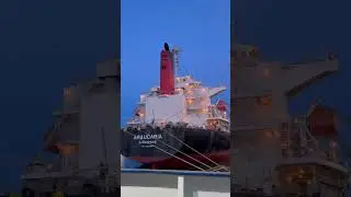 😱🚢 #seafarer #shippingcompany #like #travel #seafarercommunity #shippingindustry #ocean #seafarer