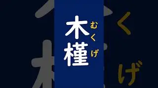 High-quality Japanese language course