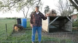 Cheap Hog Pen and Shelter under $150