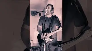 I wanna be your dog - Swamp Blues Kara onemanband (cover)
