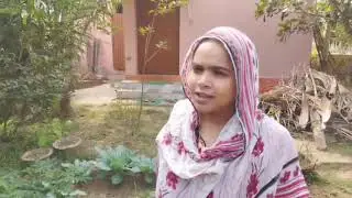 My Mini village garden fresh #minivlog #gardening #vegetables #organicfarmingmethods #shortvideos 