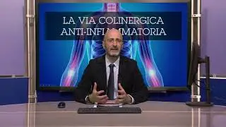 13. - Il controllo vegetativo della neuroinfiammazione